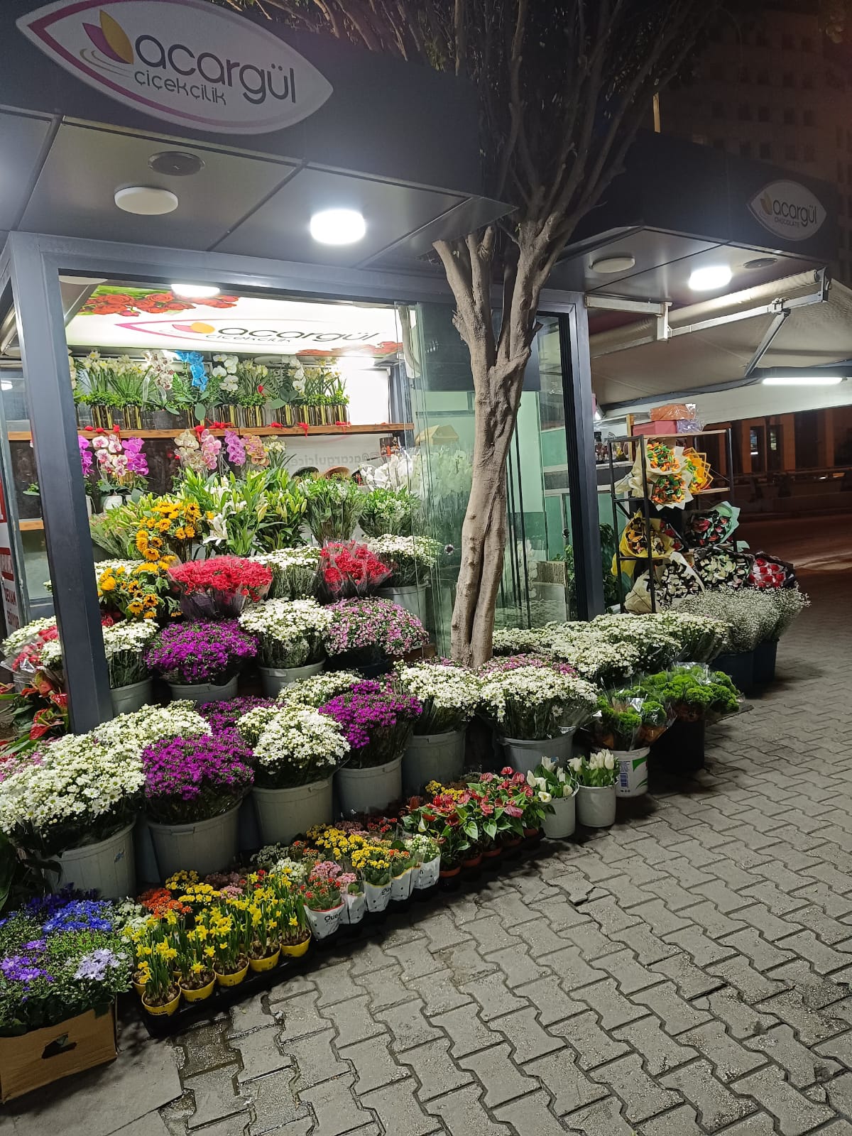 Acargül Çiçekçilik kır düğünü mekanı — Seyhan