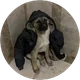 Nisa profil fotoğrafı