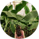 İrem Toygun profil fotoğrafı