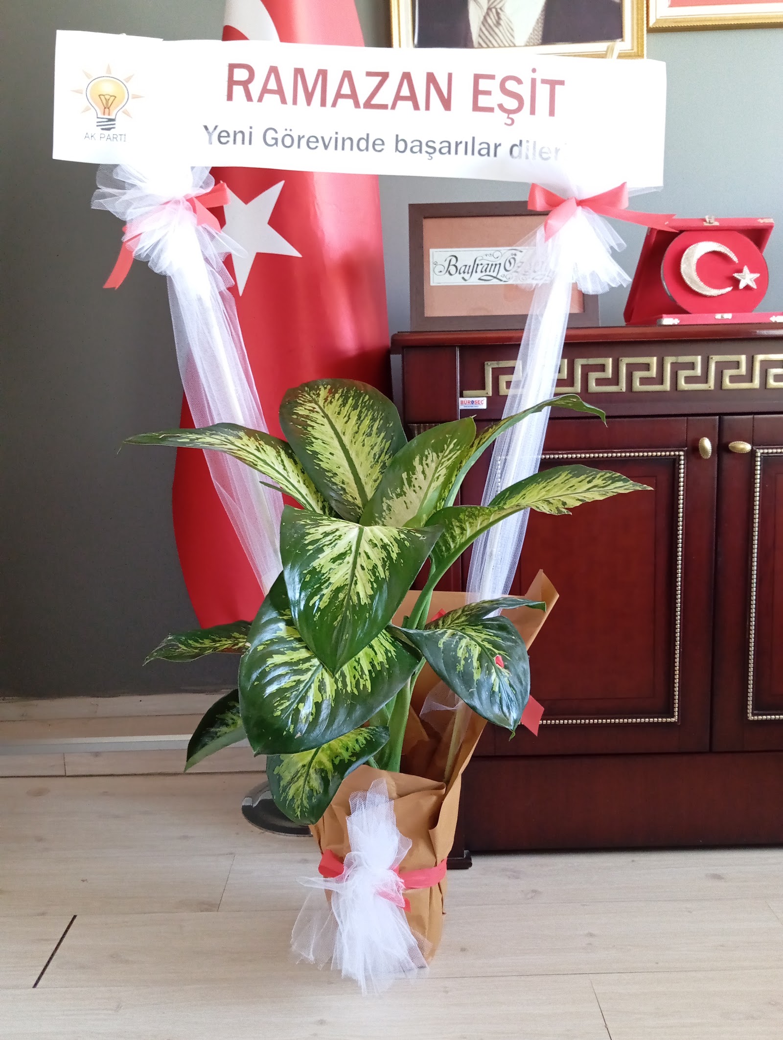 Hayalimi Süsle Çicek evi, Organizasyon