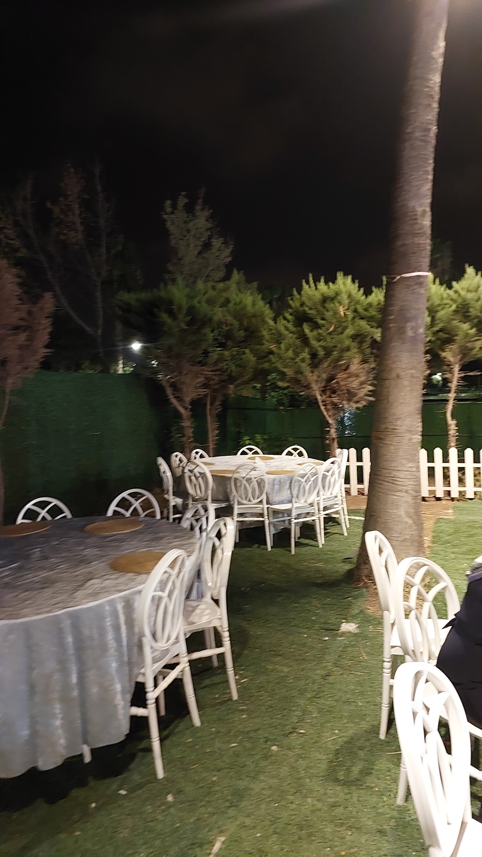 Komşu Kırdüğünü — Seyhan, Adana kır düğünü mekanı görsel 8