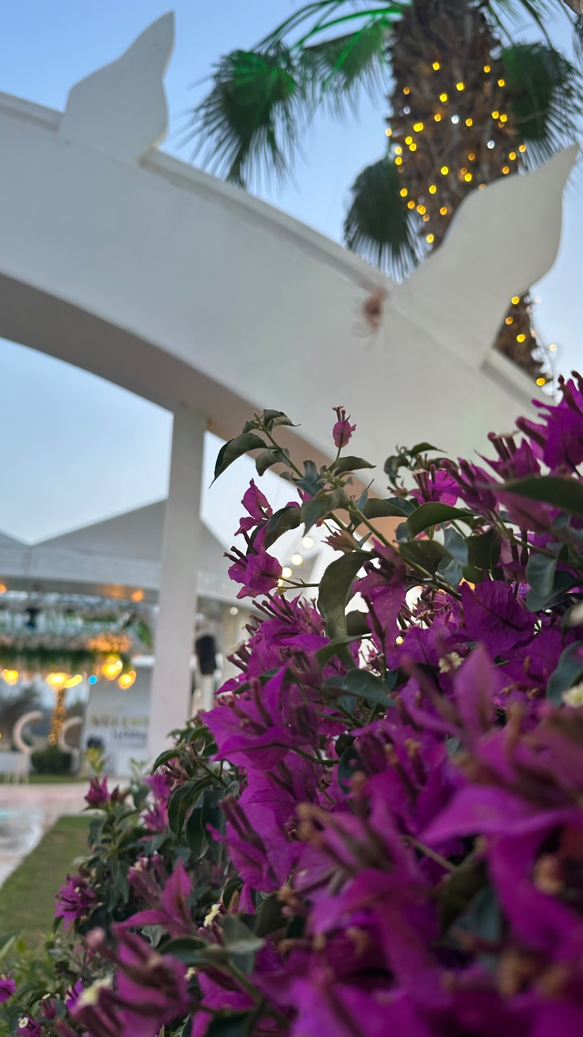 Valentin Wedding — Çukurova, Adana kır düğünü mekanı görsel 6