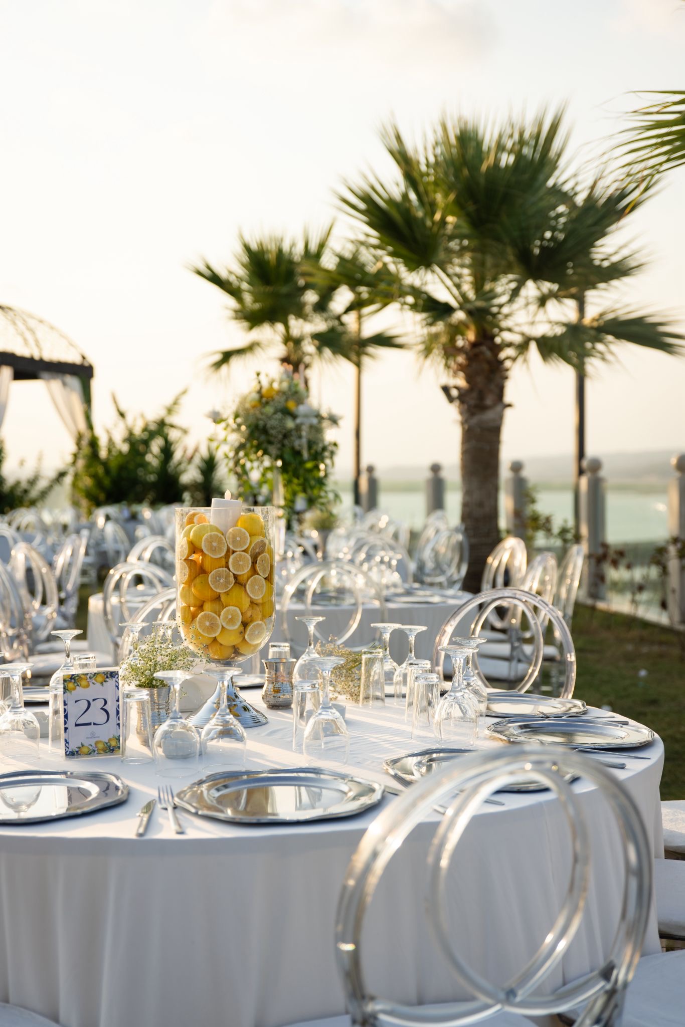 Wedding Panorama Park — Çukurova, Adana kır düğünü mekanı görsel 6