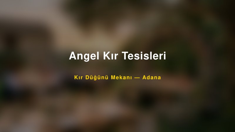 Angel Kır Tesisleri — Adana Kır Düğünü Mekanı Rehberi