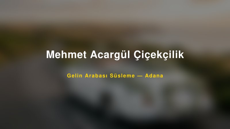Mehmet Acargül Çiçekçilik Gelin Arabası Süsleme Fiyatları