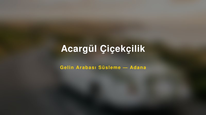 Acargül Çiçekçilik ile Trend Gelin Arabası Yazıları ve Konseptleri