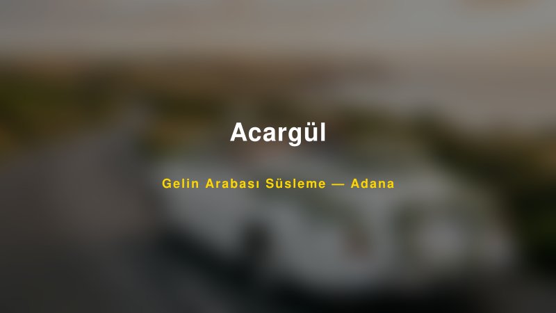 Acargül Gelin Arabası Süsleme Fiyatları
