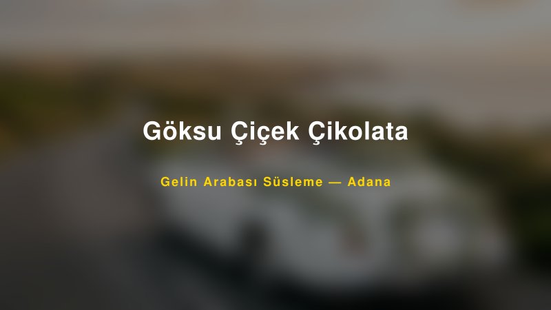 Göksu Çiçek Çikolata ile Trend Gelin Arabası Yazıları ve Konseptleri